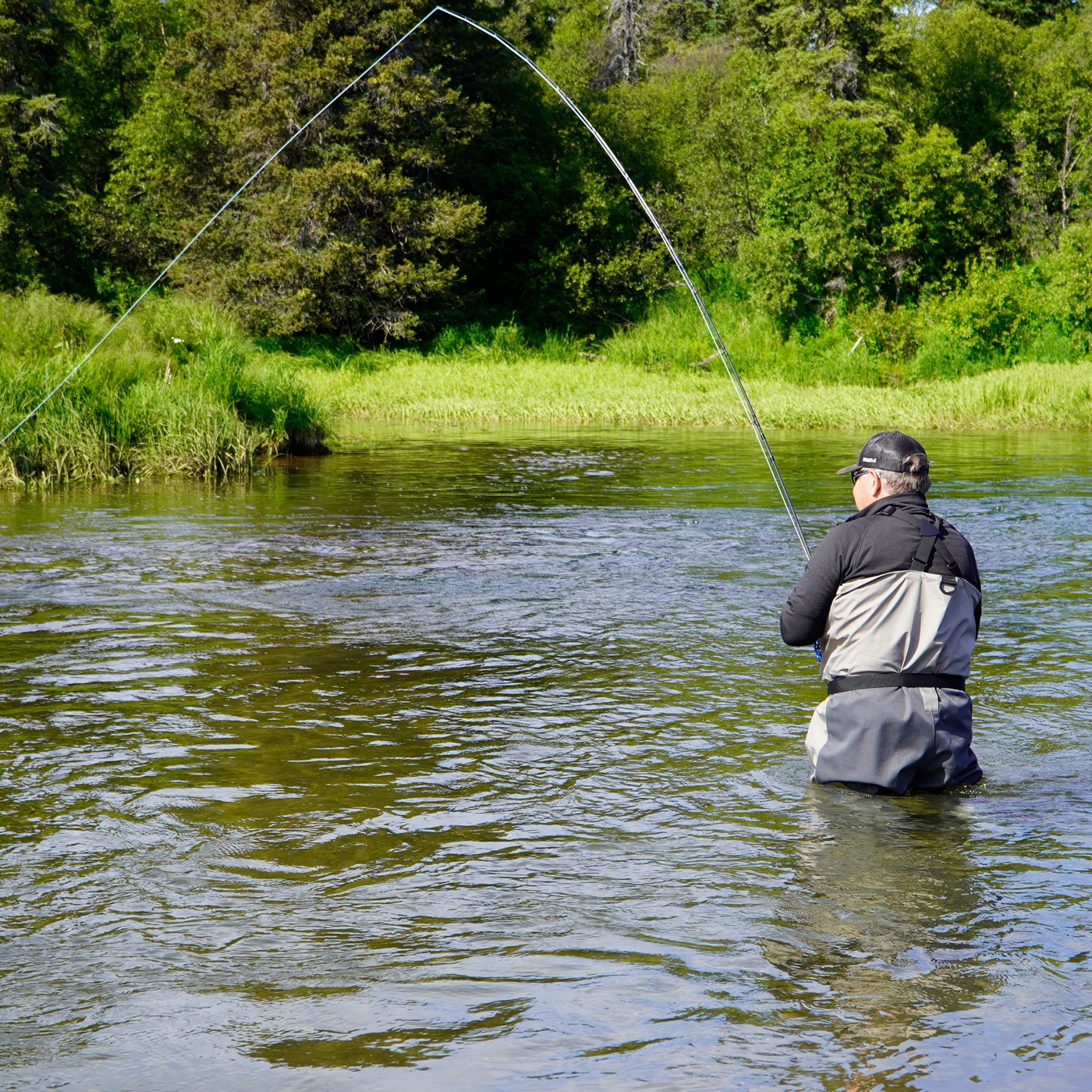 Fly angler casting a long line on a forested Alaska river