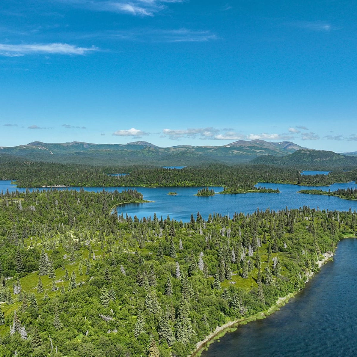 Alaskan wilderness near Legend Lodge