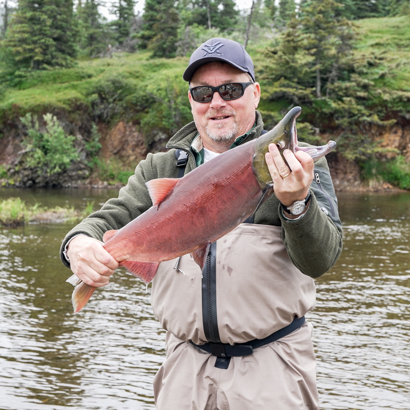 A guide cradling a sockeye salmon in the river before release